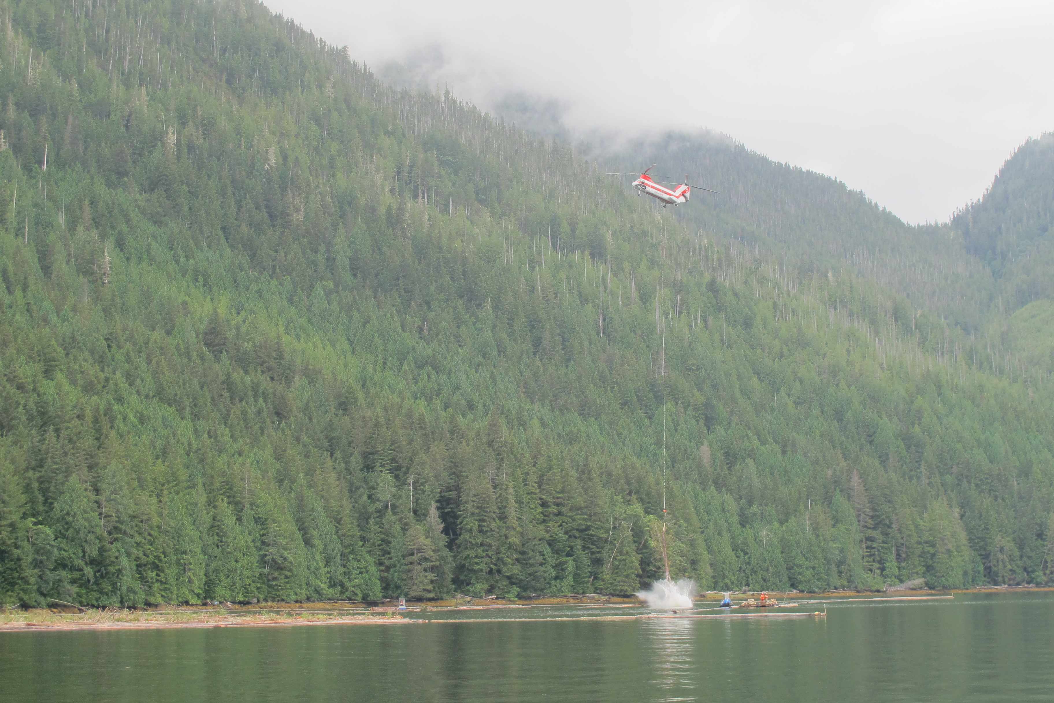 Heli-logging in Kingcome Inlet. There is lots of resource extraction going on in the Northern Part of the Inside Passage